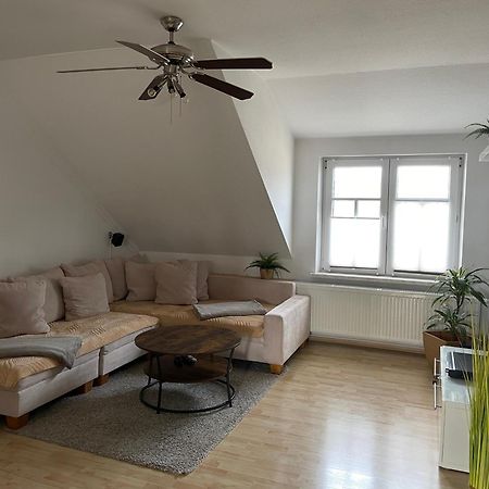 Bambus, Jungle, Dachterrasse & Bequem Bis Zentrum Radebeul Εξωτερικό φωτογραφία