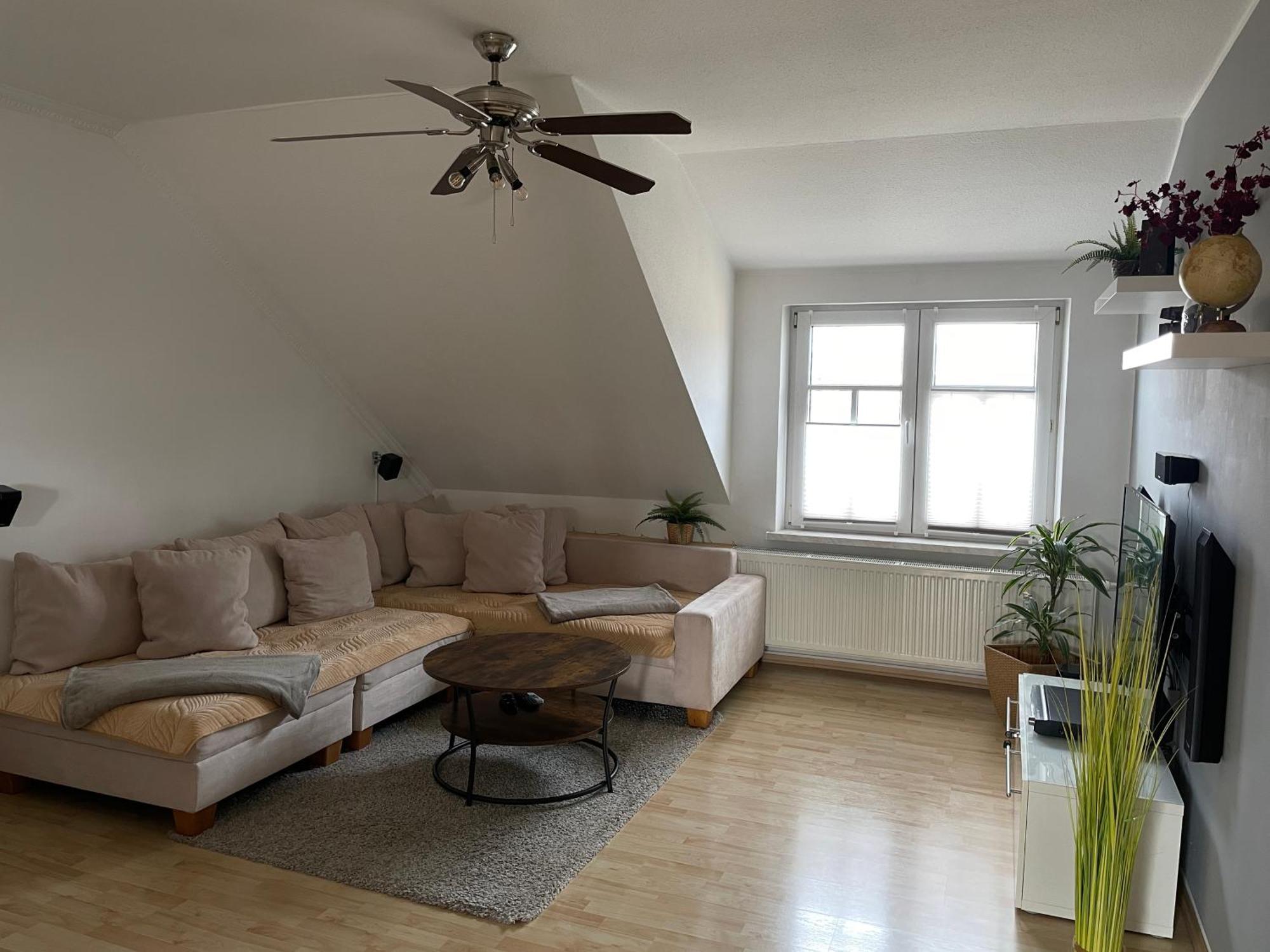 Bambus, Jungle, Dachterrasse & Bequem Bis Zentrum Radebeul Εξωτερικό φωτογραφία